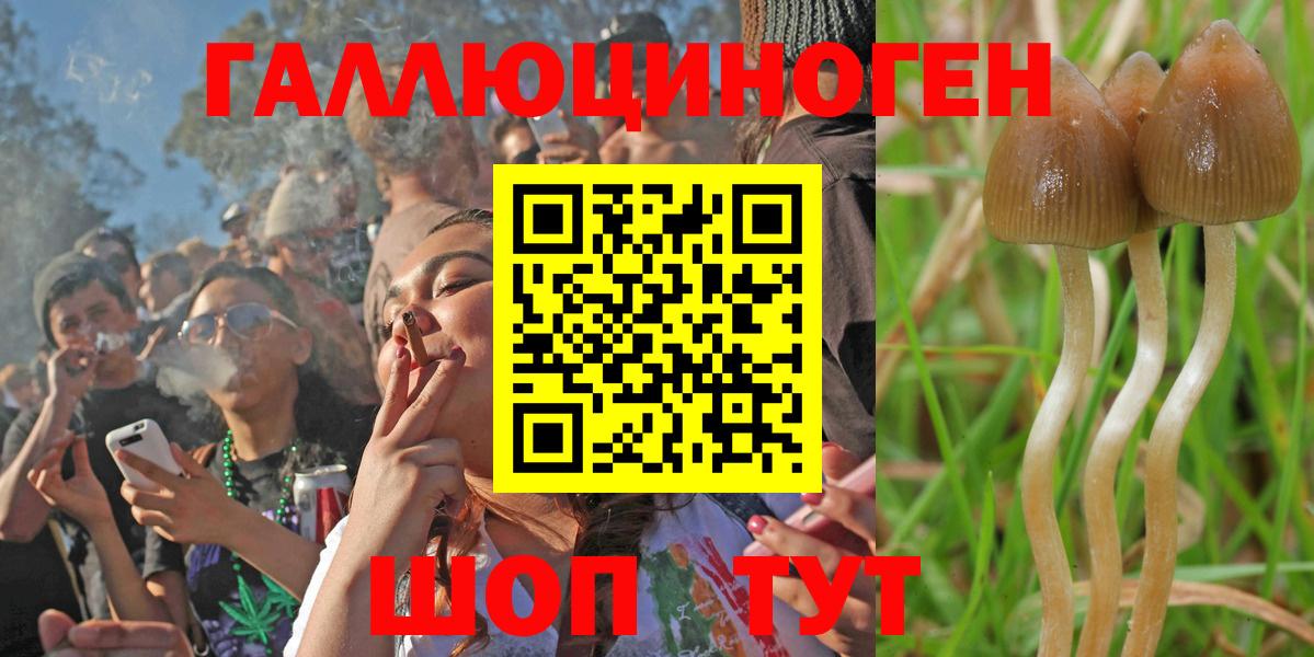 Псилоцибиновые грибы GOLDEN TEACHER Видное