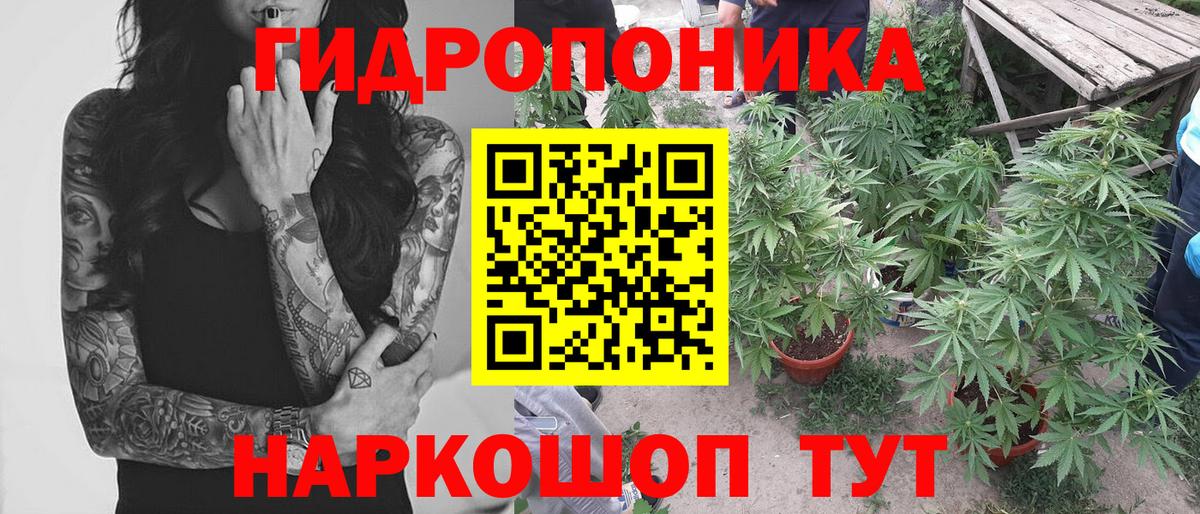 Марихуана конопля Видное